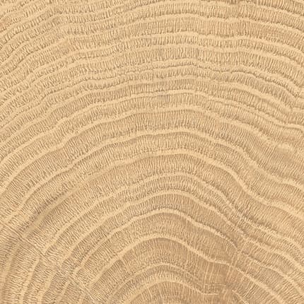 Carrelage W-Circles Naturale