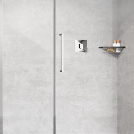 Porte de douche en alignement Young